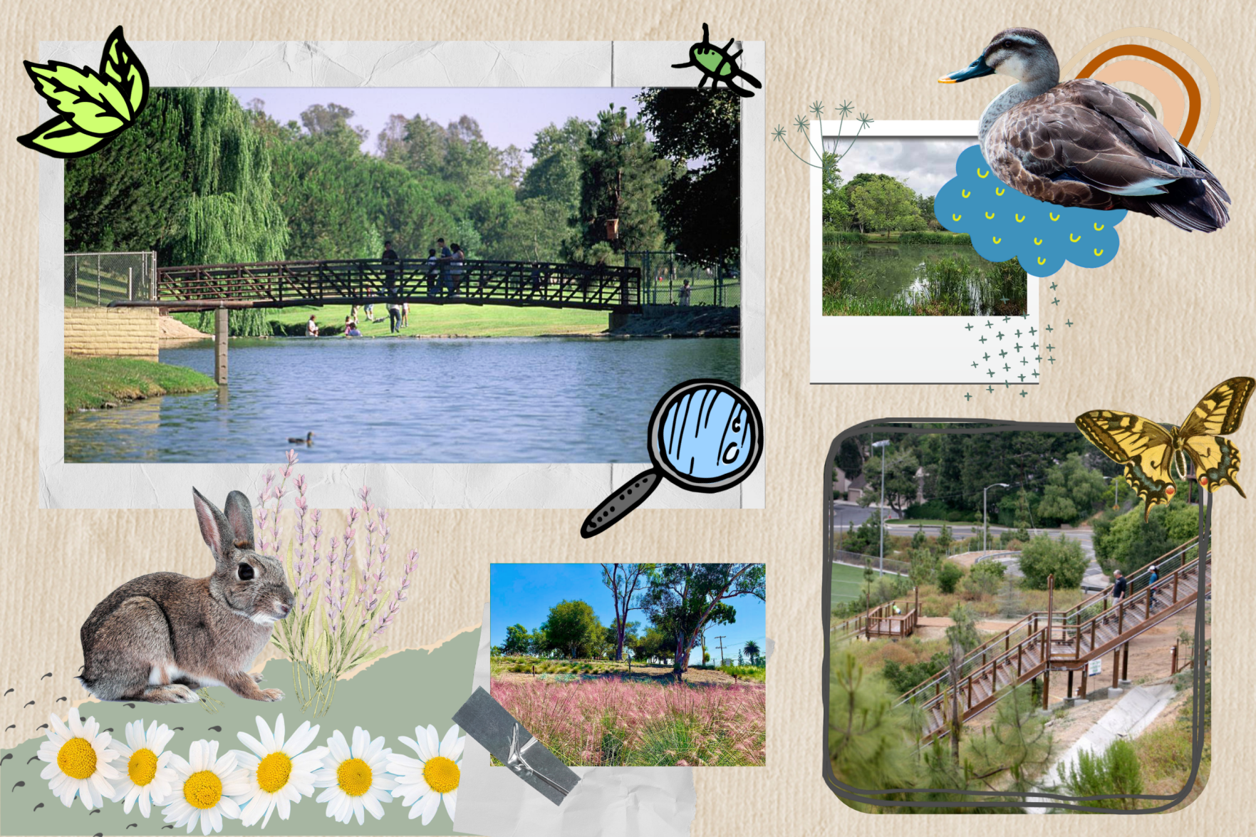 Fullerton parks photo illustration